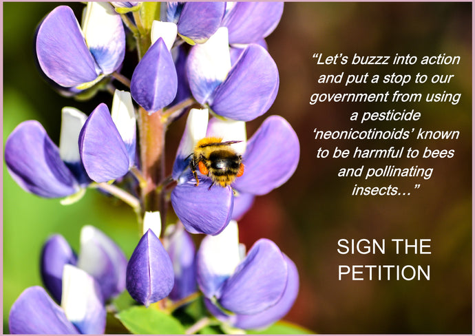 Buzz Into Action - Save Our Bees & Pollinators