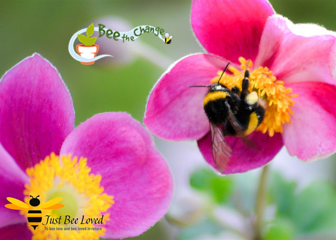 Pledge To "Bee the Change" - Sign Up Today!