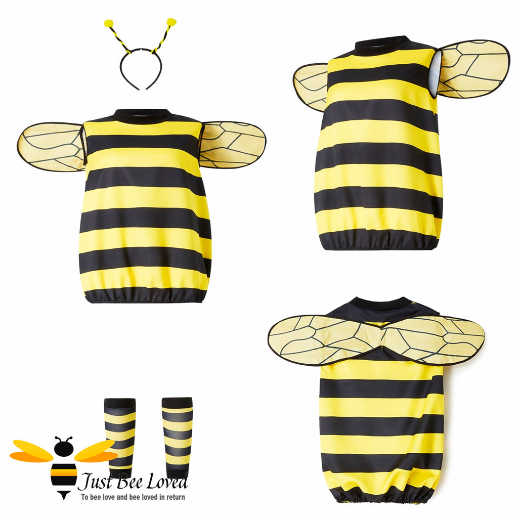 Girls Tunic Fancy Dress Bee Costume