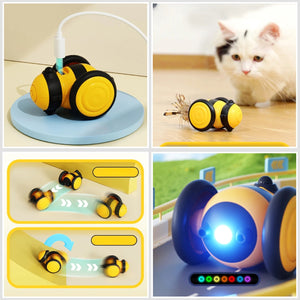 Interactive pet cat bumble bee car toy