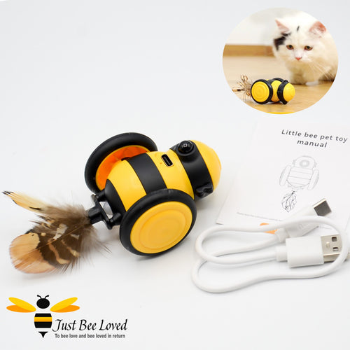 Interactive pet cat bumble bee car toy