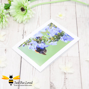 Bumblebee and Blue Saliva Blank Photographic Greeting Card image by Landscape & Nature Photographer Yasmin Flemming