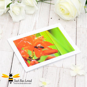 Honey Bee and Orange Lily Blank Photographic Greeting Card image by Landscape & Nature Photographer Yasmin Flemming