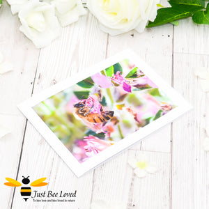 Honey bee foraging in a field of wild flowers Photographic Blank Greeting Card image by Landscape & Nature Photographer Yasmin Flemming