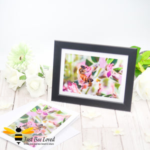 Honey bee foraging in a field of wild flowers Photographic Blank Greeting Card image by Landscape & Nature Photographer Yasmin Flemming