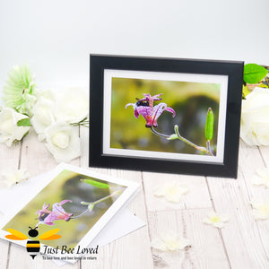 Bumblebee inside Flower Cup Photographic Blank Greeting Card image by Landscape & Nature Photographer Yasmin Flemming