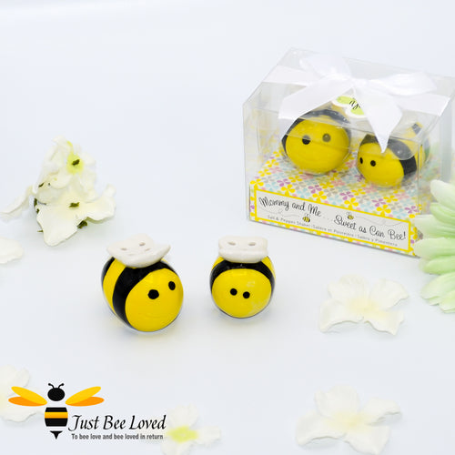 Cute bumble bees salt and pepper condiment shaker set  in gift box with message 