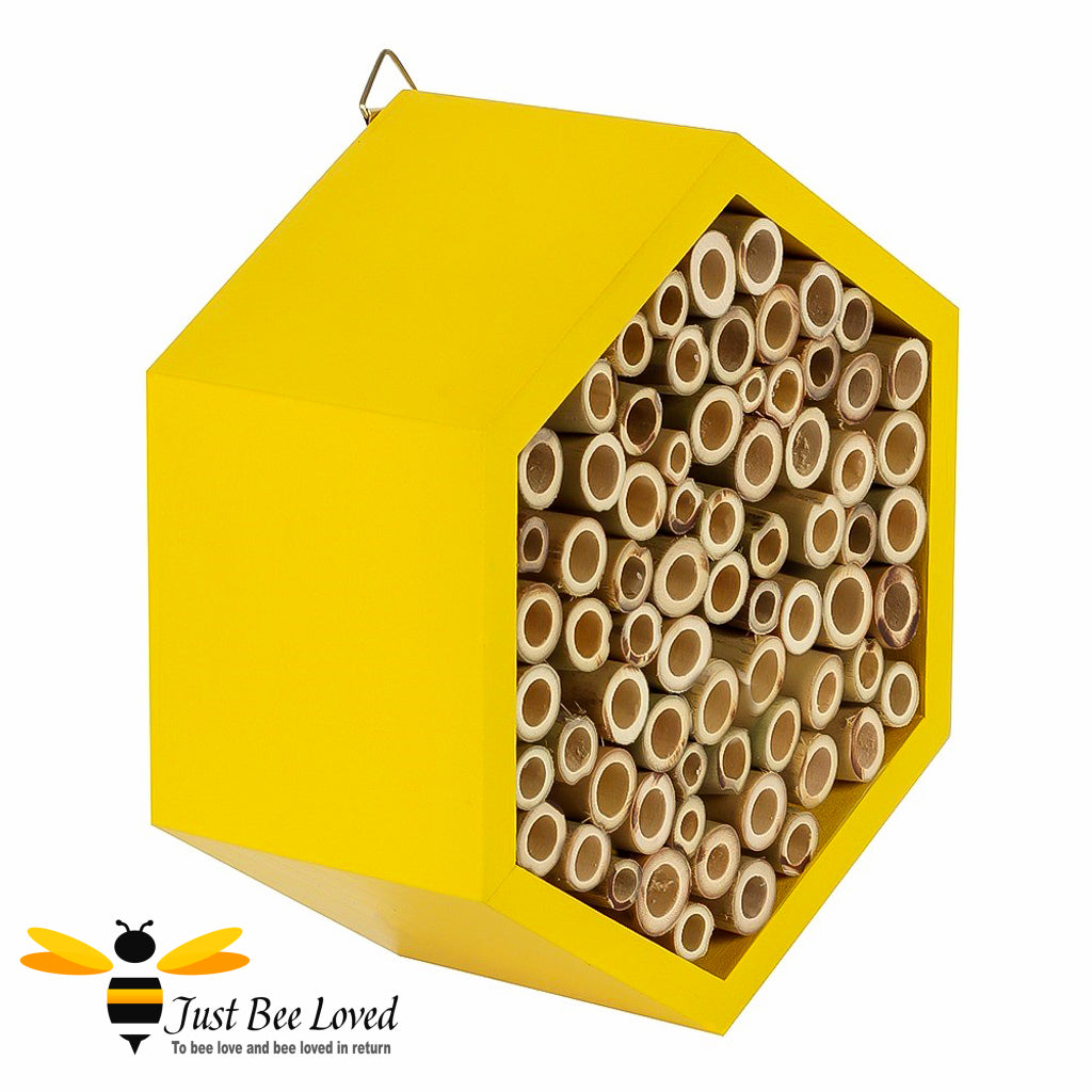 Hexagonal Bee House w/Paper Straws, Wood - Esschert Design USA