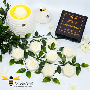 Scented vegan bee wax melts gift boxed with honeycomb oil wax melt burner in hazelnut & woodland fragrance.