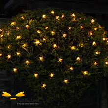 Load image into Gallery viewer, Garden Honey Bee Solar Lights 10 metres 50 led lights on tree