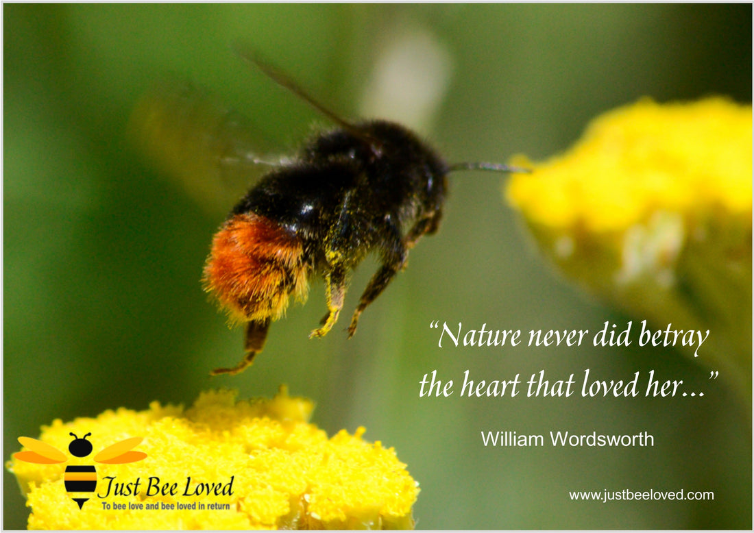 Bee and Nature Quotes