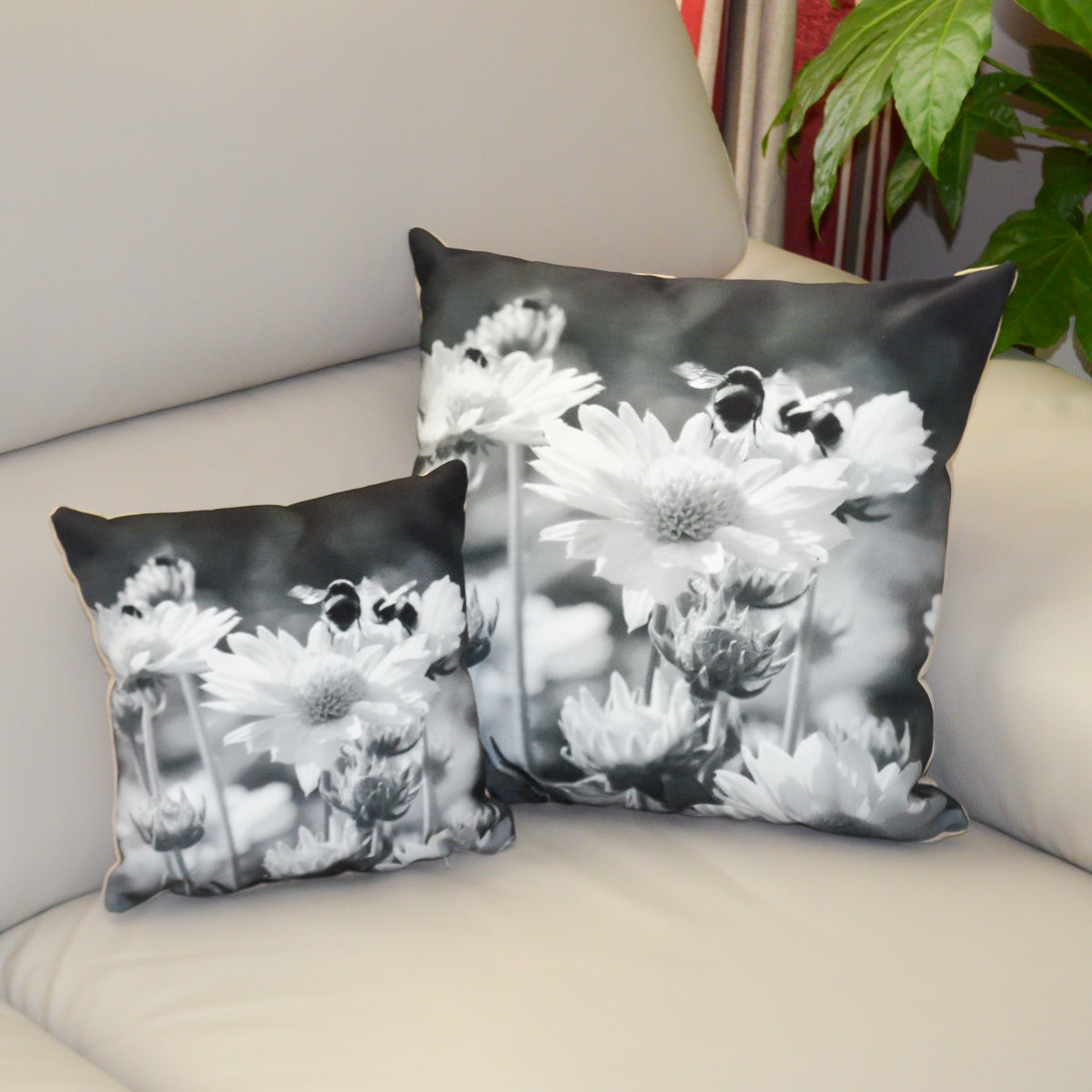 Scatter Cushions with photographic black and white print of daisies and bumblebees