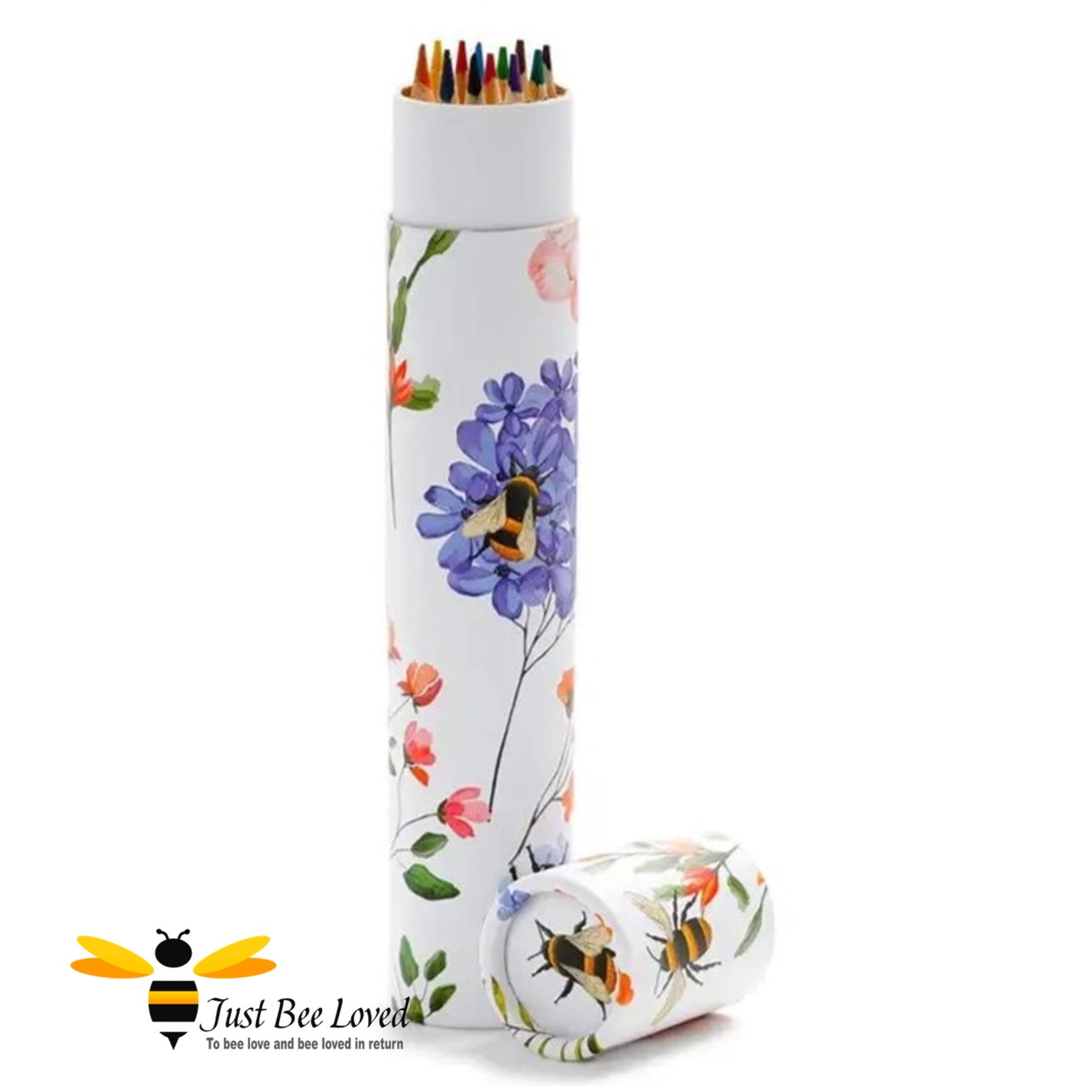 12 colouring pencils bumble bees tube carry holder