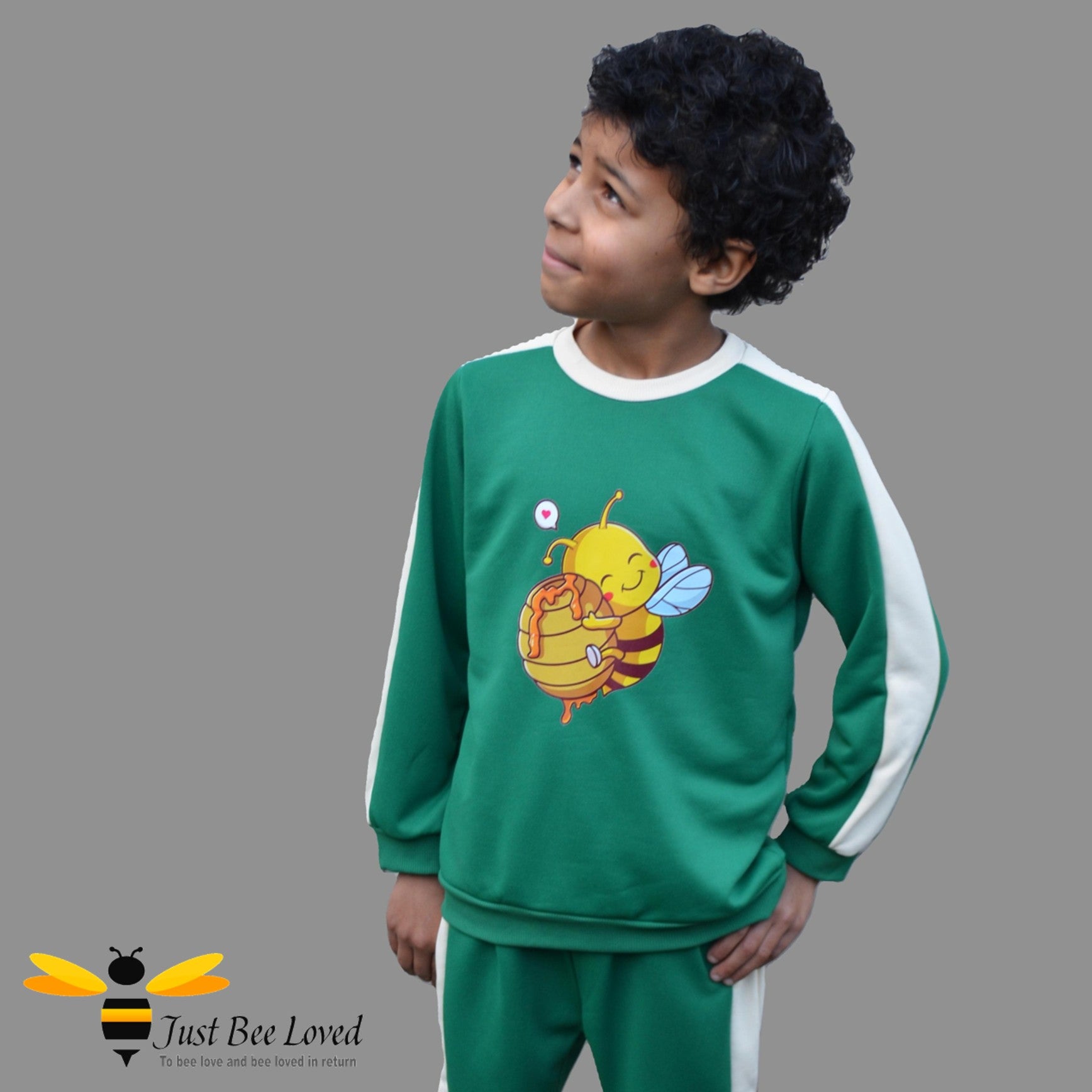 Boy's Green Colour Block Bee Tracksuit Sweatsuit