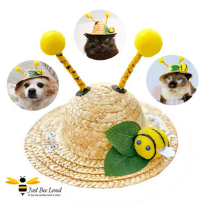 Dog & Cat Fancy Dress Bumblebee Costume Straw Hat