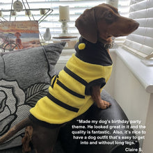 Load image into Gallery viewer, Dog bee fancy dress costume coat customer review