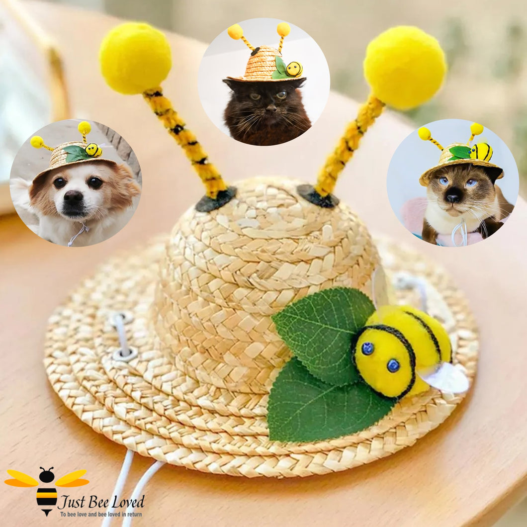 Fancy dress dog cat bumble bee costume straw hat