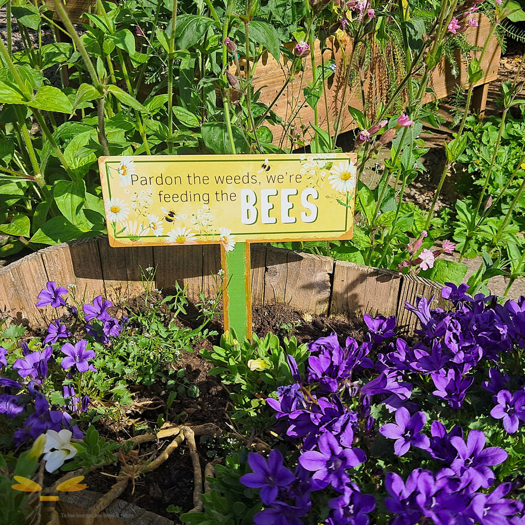 Garden with a sign about bees and flowers, surrounded by greenery and purple flowers.