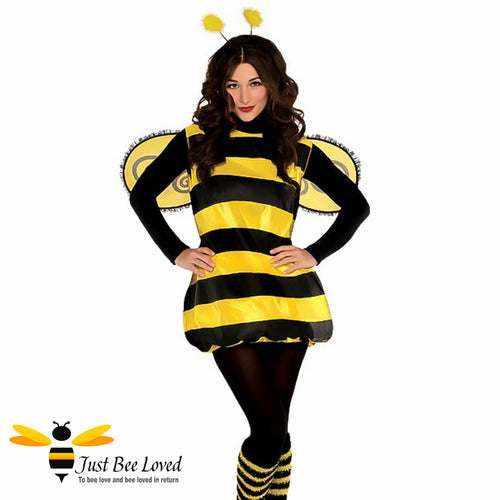 Women's 4 piece bumble bee tunic fancy dress costume