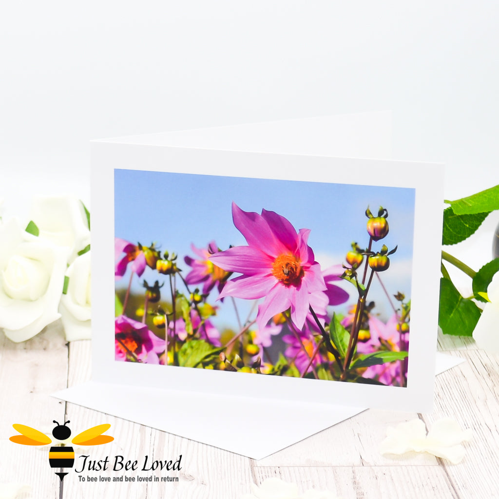 Photographic greeting bee card featuring a bee and a bug sharing a pink flower, with a blank space for a personal message.