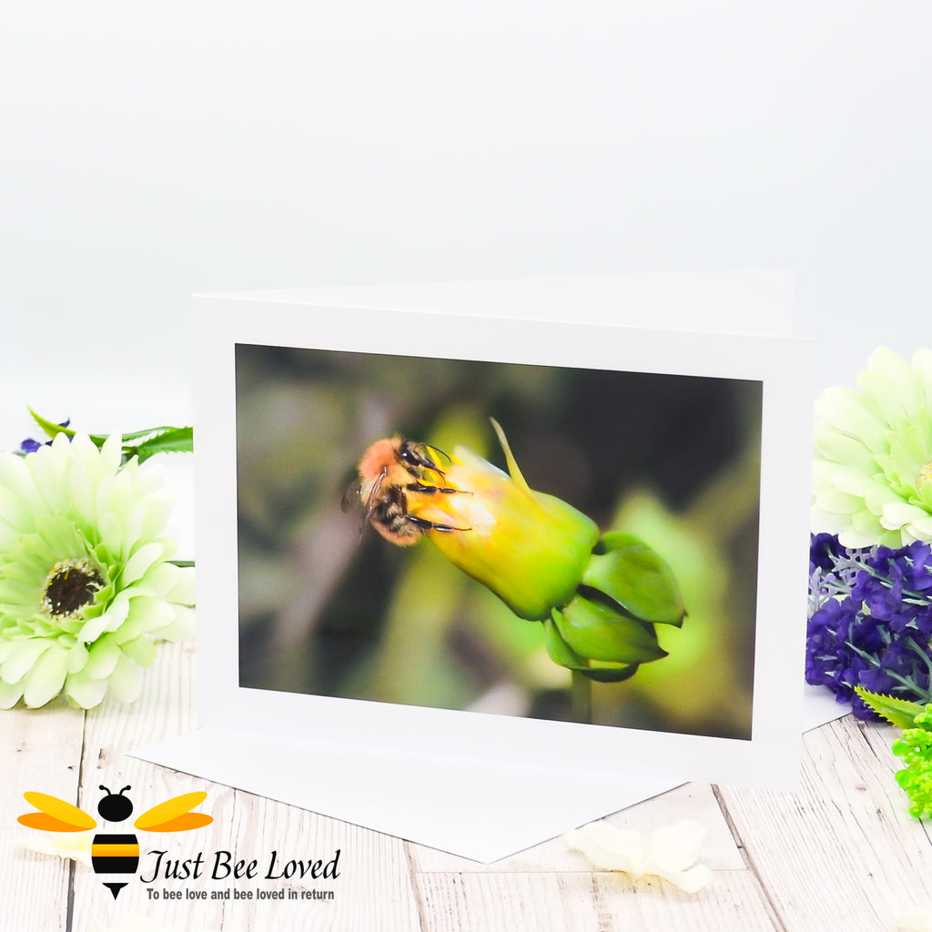 A photographic greeting card featuring an image of a carder bee dipping its tongue in a closed flower.
