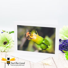 Load image into Gallery viewer, A photographic greeting card featuring an image of a carder bee dipping its tongue in a closed flower.