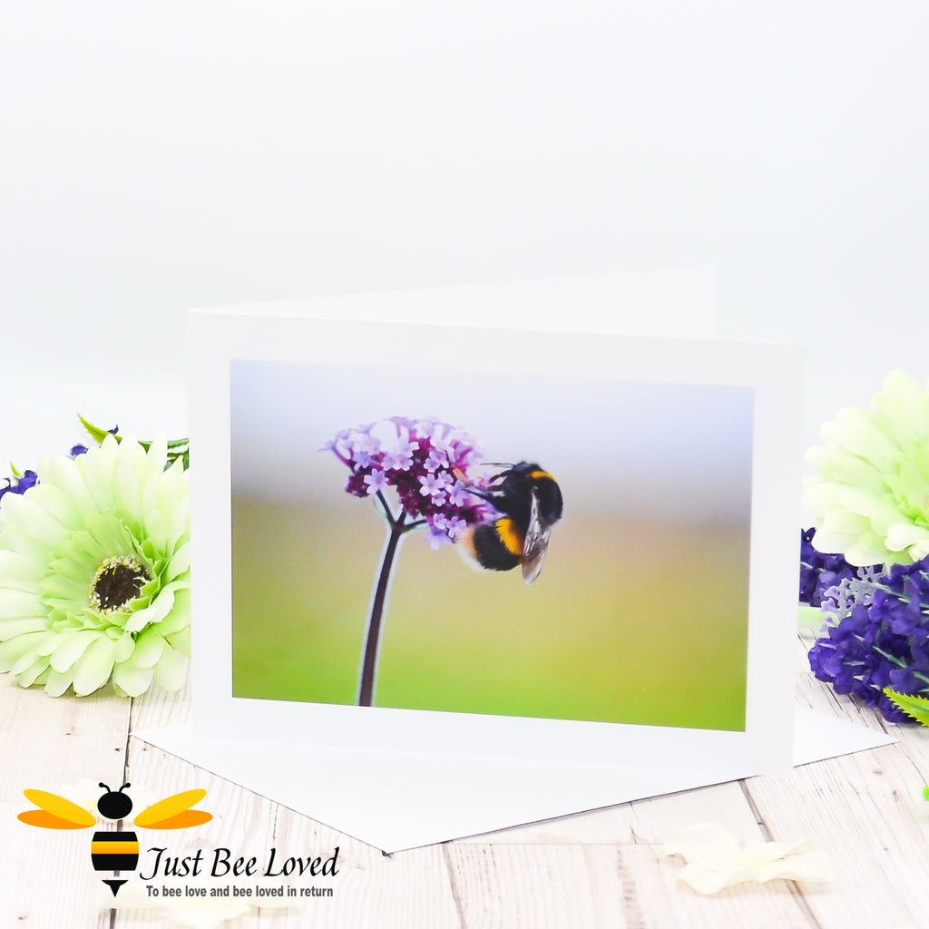 A photographic greeting card featuring a portrait of a bumblebee on a purpletop Verbena flower.