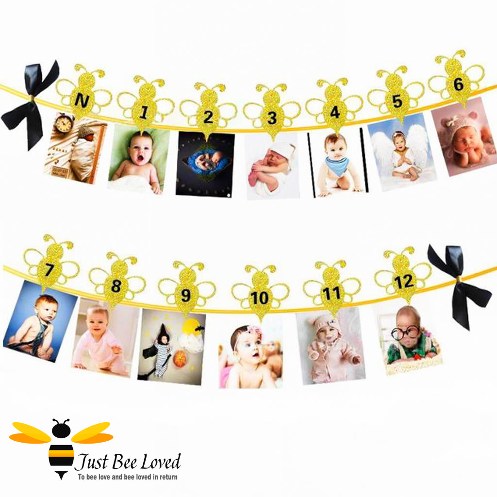 Baby's first birthday year photo bee bunting banner
