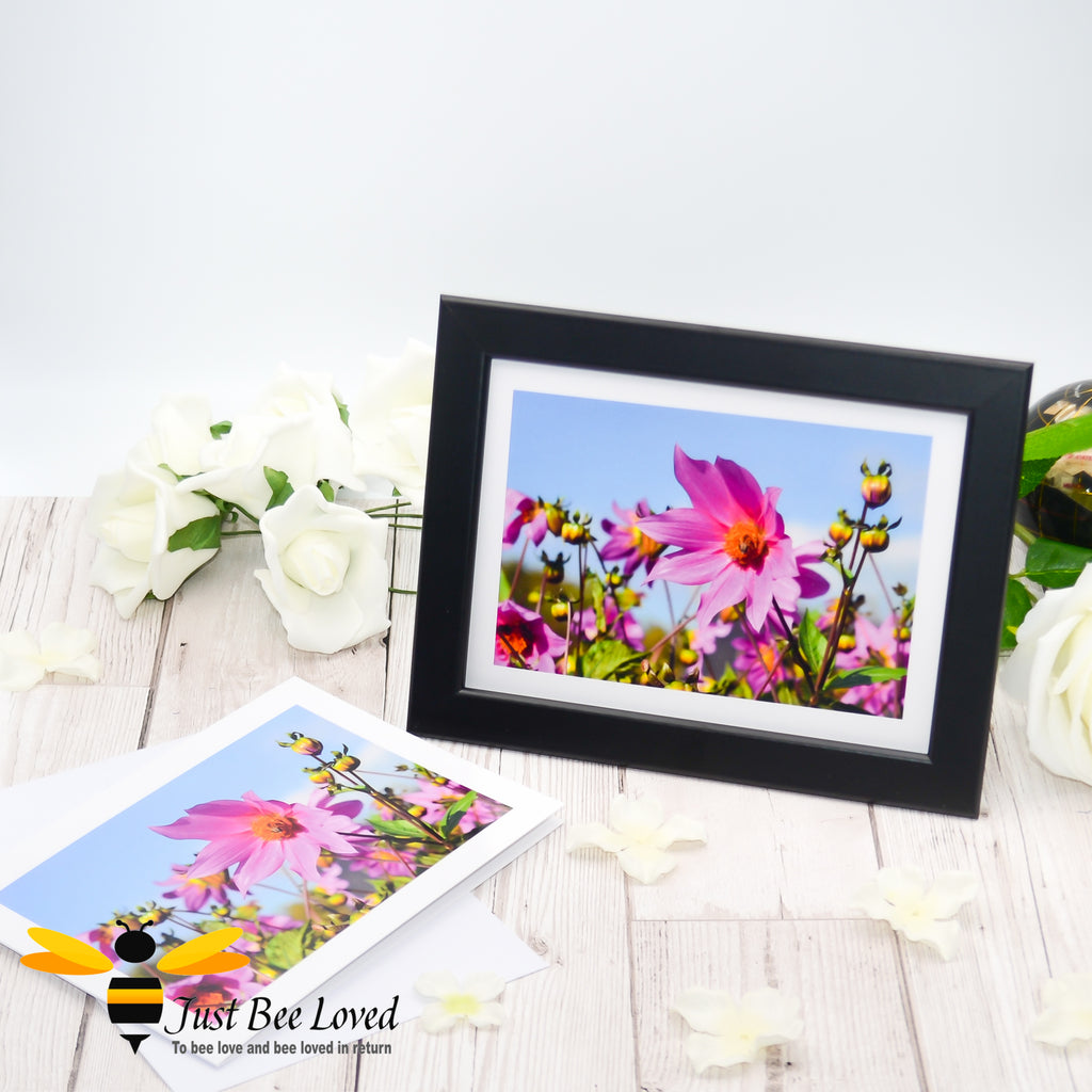 Framed photographic greeting card featuring an image of a field of pink flowers with a bee and a bug sharing a flower.