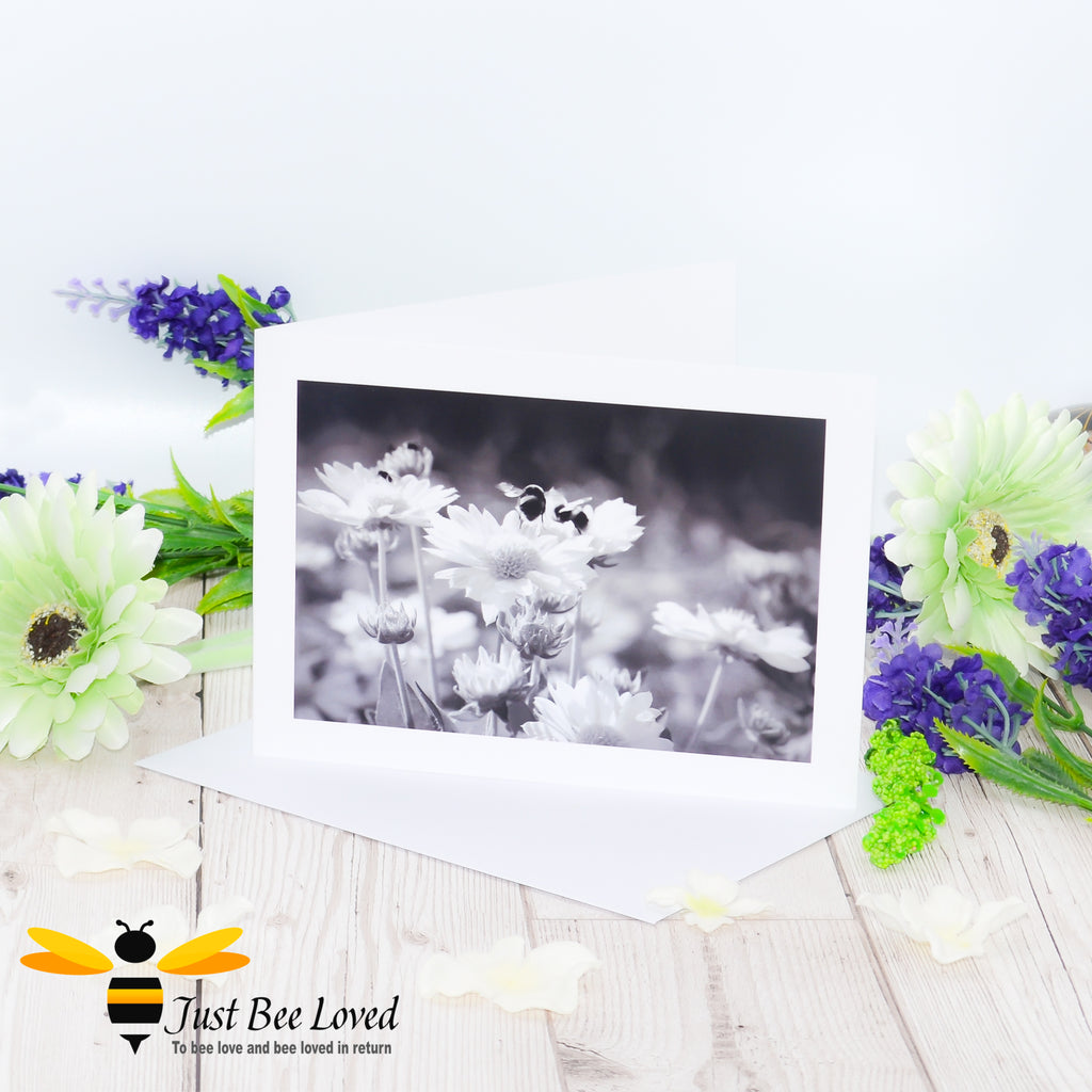 A black and white photographic image portraying bumblebees on daisy flowers.