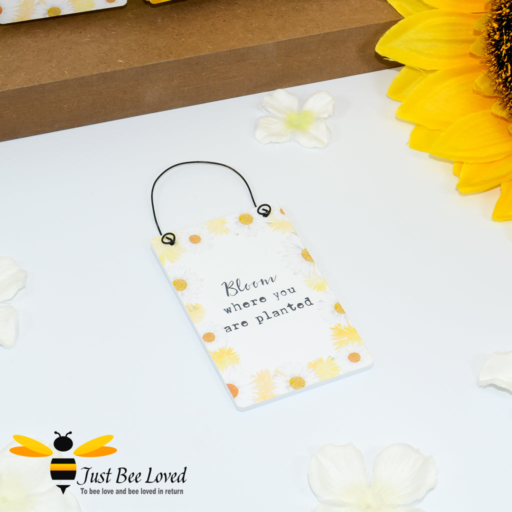 Wooden mini sign card with orange and white daisies and 'Bloom where you are planted' message.