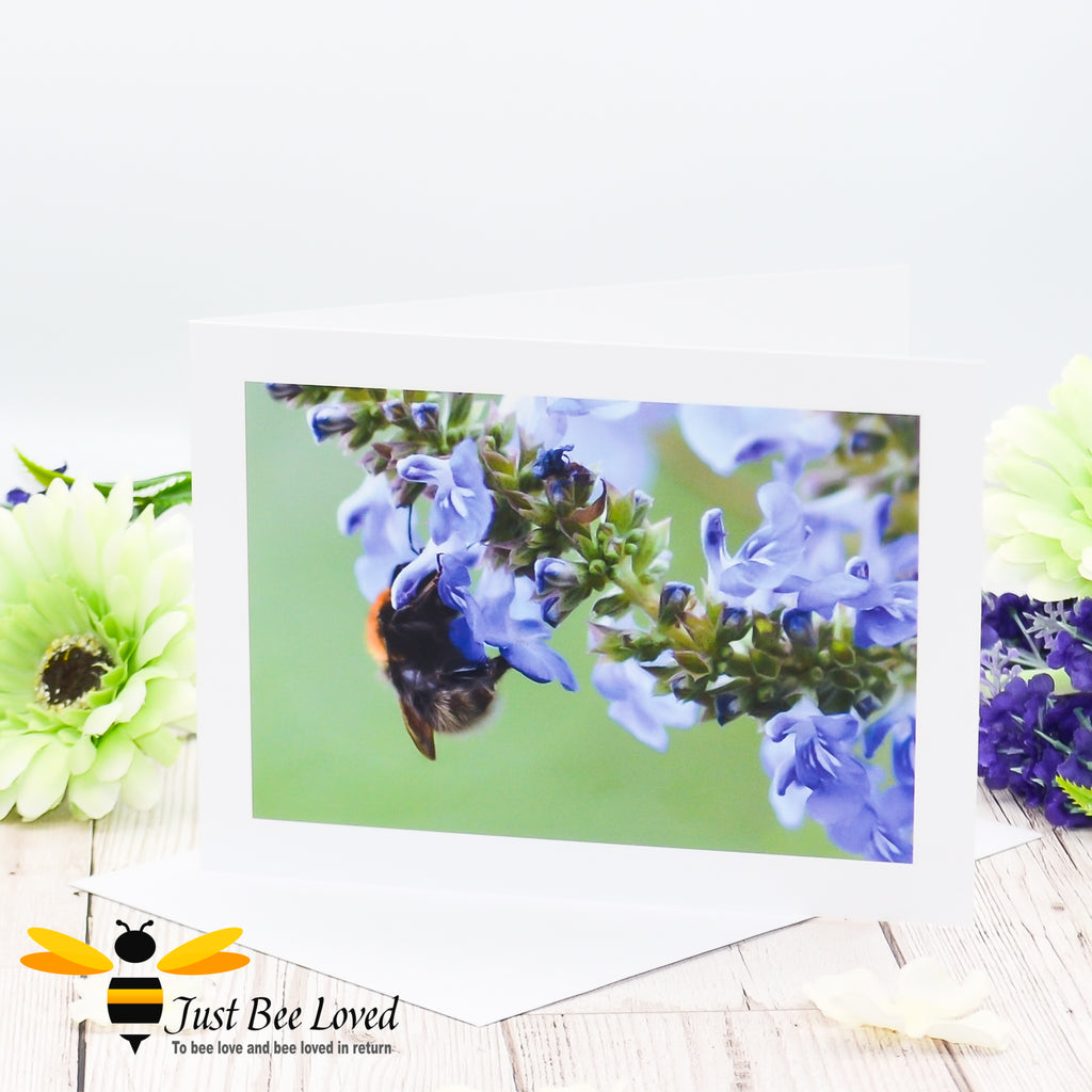 a greeting card featuring an image of a bumblebee foraging on blue salvia flowers.
