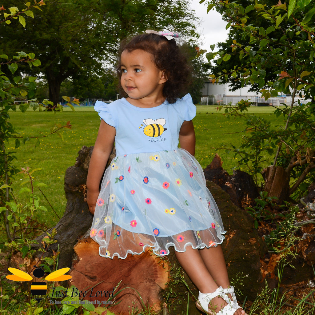 Blue lace girls hotsell dress