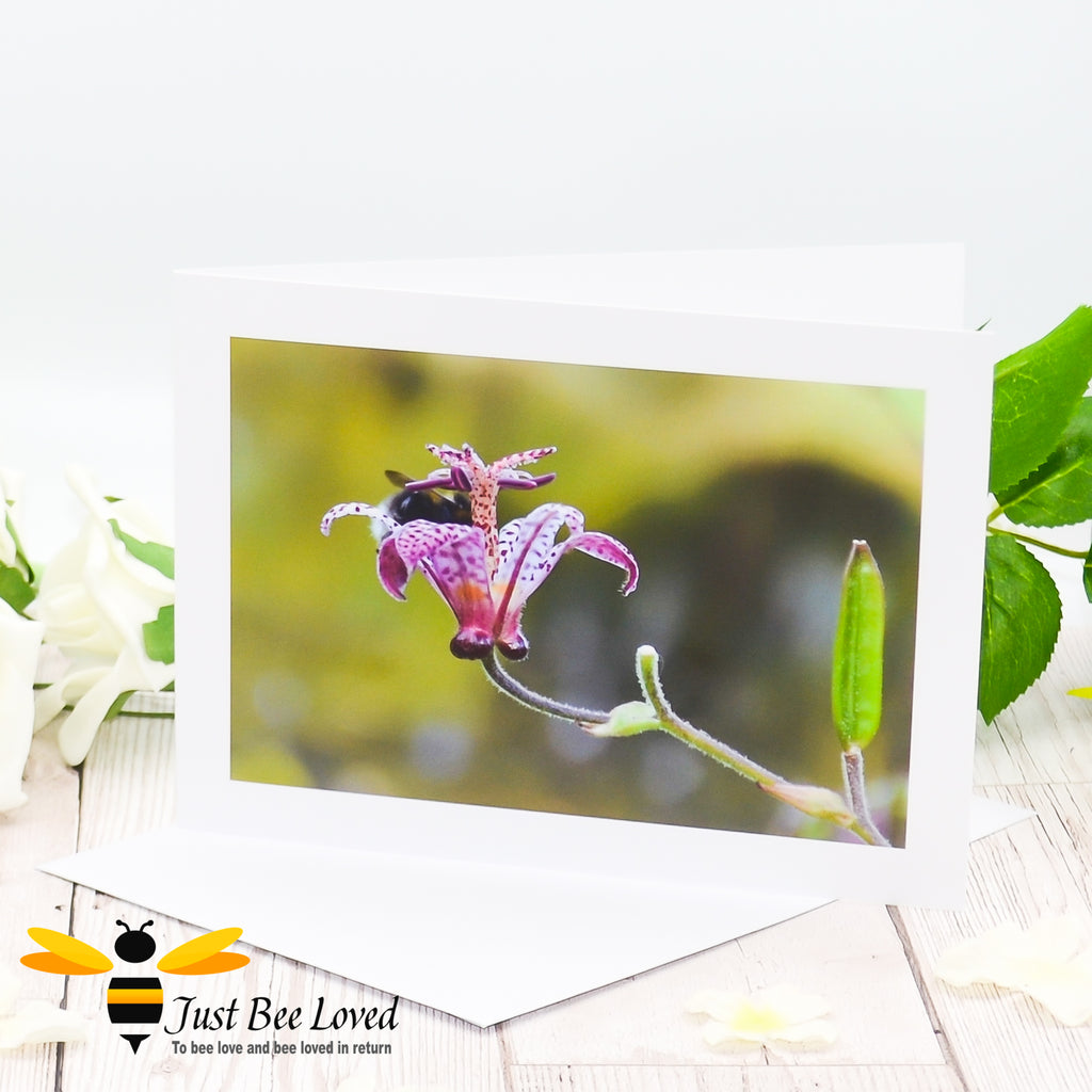 A greeting card featuring an image of a bumblebee deep inside a flower cup.