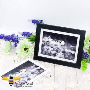 Daisy Dancing Bumblebees Black and White Blank Photographic Blank Greeting Card image by Landscape & Nature Photographer Yasmin Flemming