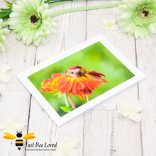 Load image into Gallery viewer, Honey Bee Foraging Blank Photographic Greeting Card image by Landscape &amp; Nature Photographer Yasmin Flemming