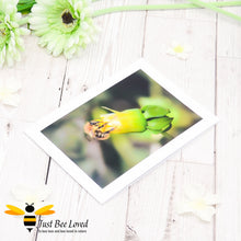 Load image into Gallery viewer, Bumblebee Drinking Nectar Photographic Blank Greeting Card image by Landscape &amp; Nature Photographer Yasmin Flemming