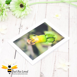 Bumblebee Drinking Nectar Photographic Blank Greeting Card image by Landscape & Nature Photographer Yasmin Flemming