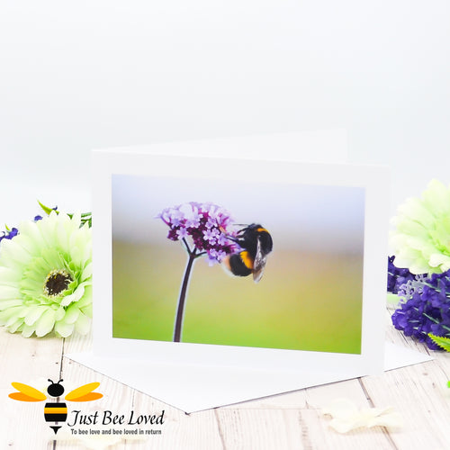 Bumblebee and Verbena Flower Photographic Blank Greeting Card image by Landscape & Nature Photographer Yasmin Flemming