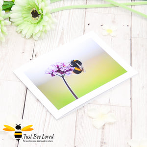 Bumblebee and Verbena Flower Photographic Blank Greeting Card image by Landscape & Nature Photographer Yasmin Flemming