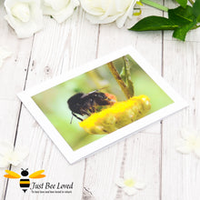 Load image into Gallery viewer, Red Tailed Bumblebee Photographic Blank Greeting Card image by Landscape &amp; Nature Photographer Yasmin Flemming
