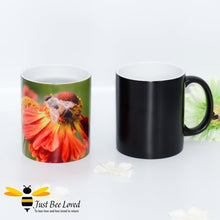 Load image into Gallery viewer, Just Bee Loved Magic Mug featuring a honey bee foraging on helenium flowers photographic image by landscape and nature photographer Yasmin Flemming