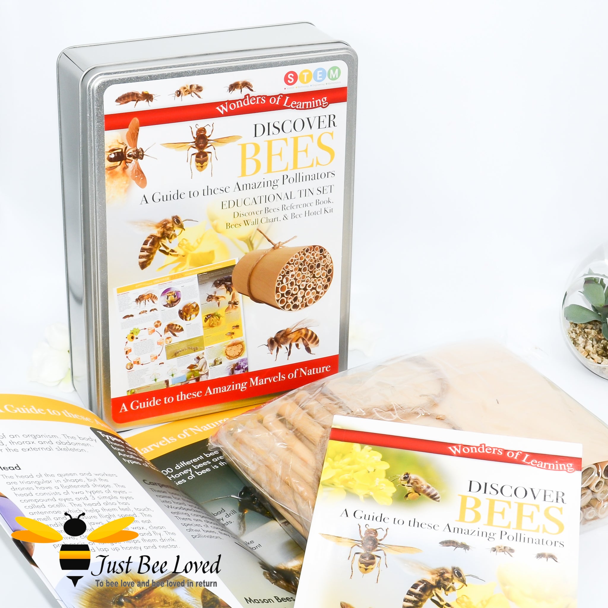 A tin set titled 'Discover Bees' with educational content about bees, including a bee hotel building guide, wall chart, and a fact-packed reference booklet.