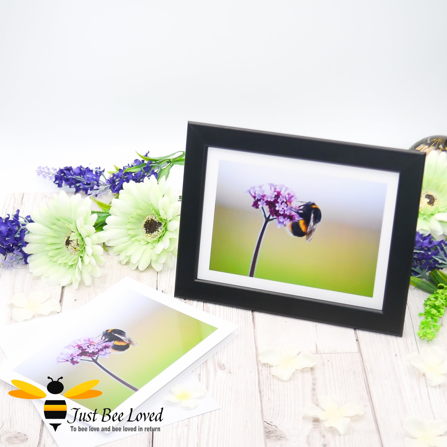 a framed photographic greeting card featuring a portrait of a bumblebee on a purpletop Verbena flower.