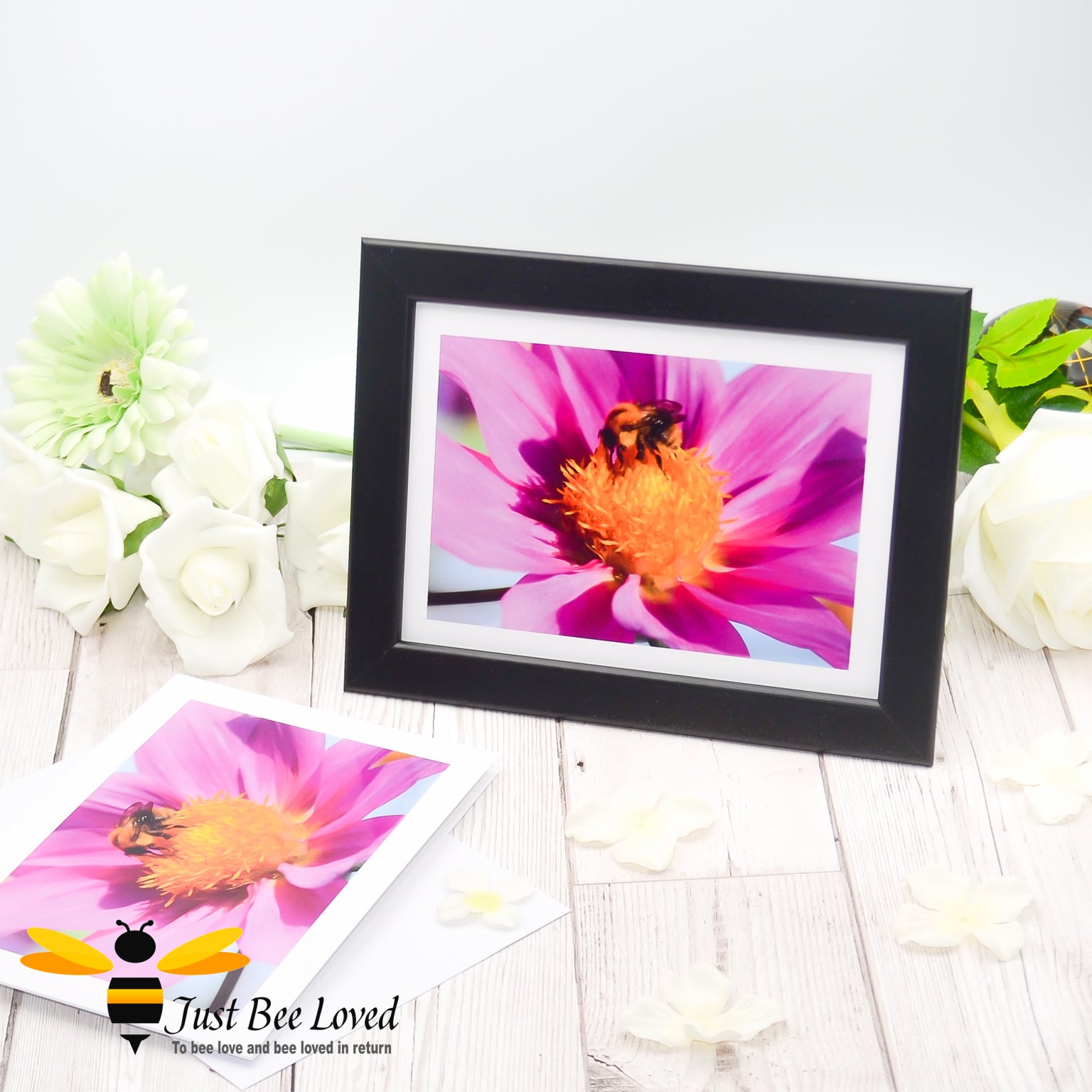 Framed photographic greeting card featuring an image of a Carder bee drinking nectar from a pink flower.