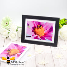 Load image into Gallery viewer, Framed photographic greeting card featuring an image of a Carder bee drinking nectar from a pink flower.