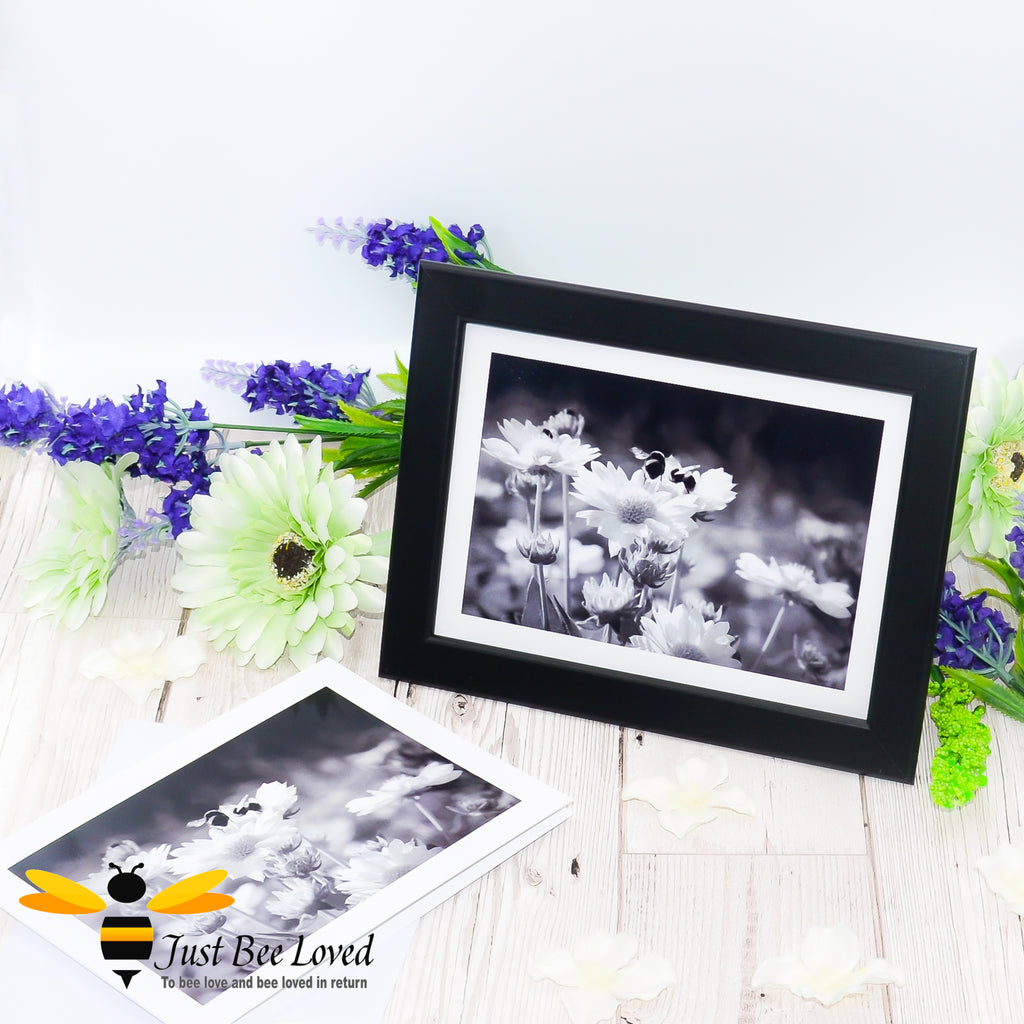 a black framed greeting card portraying a black and white photographic image of bumblebees on daisy flowers.