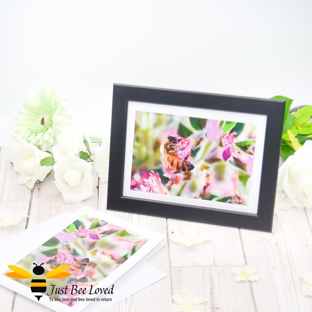 Framed photographic greeting card featuring an image of a honey bee foraging on wild pink flowers.