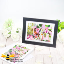 Load image into Gallery viewer, Framed photographic greeting card featuring an image of a honey bee foraging on wild pink flowers.