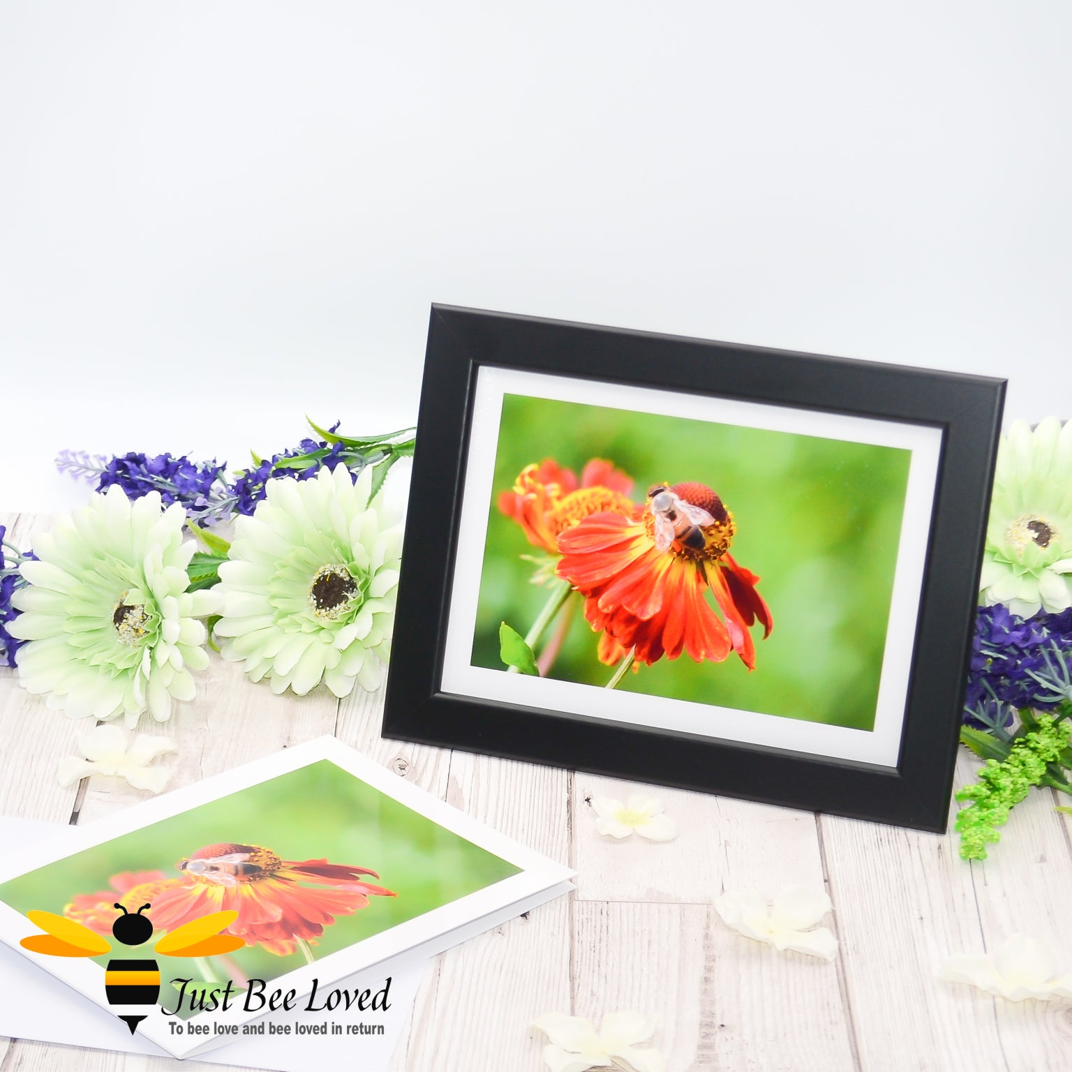 Framed photographic greeting card showing an image of a honey bee foraging on an orange helenium flower against a green background